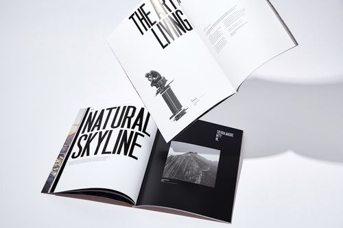 平面設計在Balzac房地產品牌形象塑造中的關鍵作用